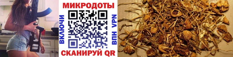 Псилоцибиновые грибы Psilocybine cubensis  Купить закладки  Крым 